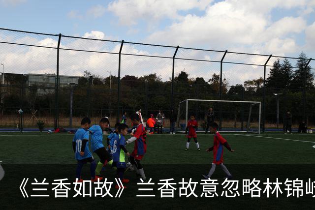 《兰香如故》兰香故意忽略林锦岐的爱意，婚后4年多才做夫妻