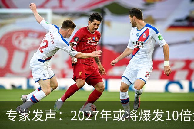 专家发声：2027年或将爆发10倍金融危机 人们抛资产是自救还是踩
