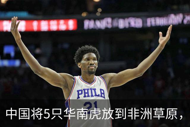 中国将5只华南虎放到非洲草原，繁衍到第15只后，专家发现不对劲