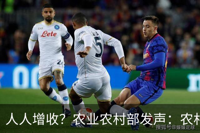 人人增收？农业农村部发声：农村房屋亦可出租，宅基地要盘活了？