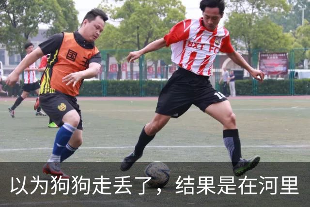 以为狗狗走丢了，结果是在河里“钓鱼”，钓鱼佬看完心态崩了！