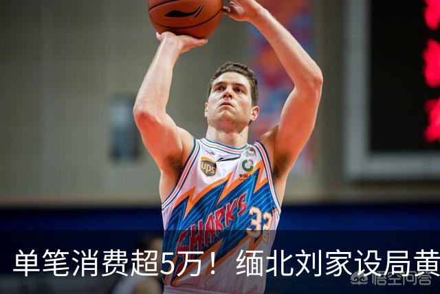 单笔消费超5万！缅北刘家设局黄赌毒“收割”金主
