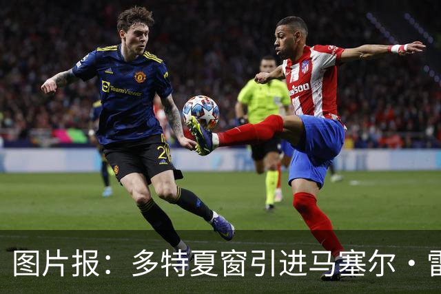 图片报：多特夏窗引进马塞尔·雷古拉失败后，打算在冬窗再次尝试