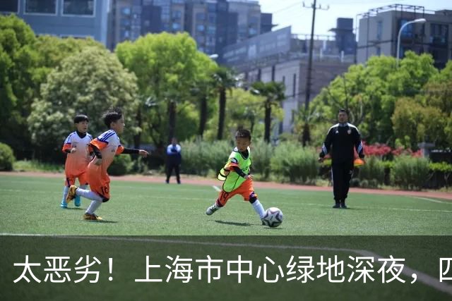 太恶劣！上海市中心绿地深夜，四人手持网兜围追堵截……市民劝阻遭怼：“死不了，抓着玩一下！”