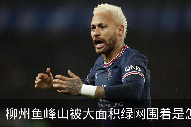 柳州鱼峰山被大面积绿网围着是怎么会是？有人说要装电梯搞缆车