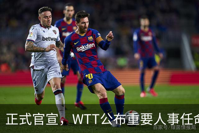 正式官宣，WTT公布重要人事任命，中国乒乓美女被提拔，正式上岗担任总监职务