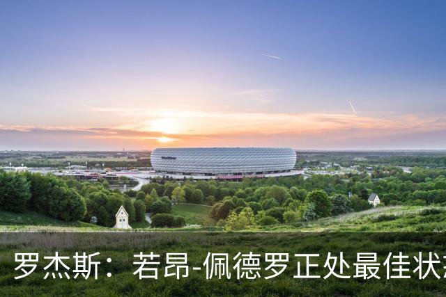 罗杰斯：若昂-佩德罗正处最佳状态，他的进球欲望非常强烈
