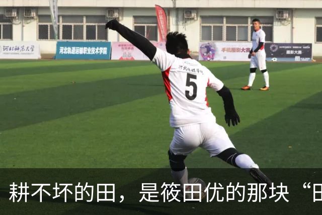 耕不坏的田，是筱田优的那块“田”