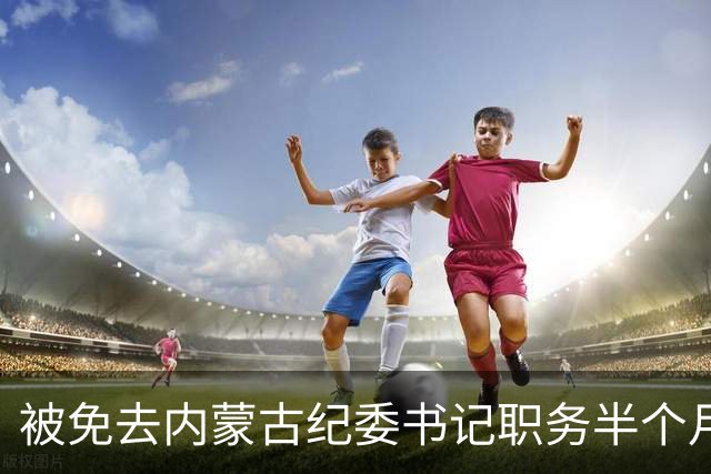 被免去内蒙古纪委书记职务半个月后，刘爽有了新消息