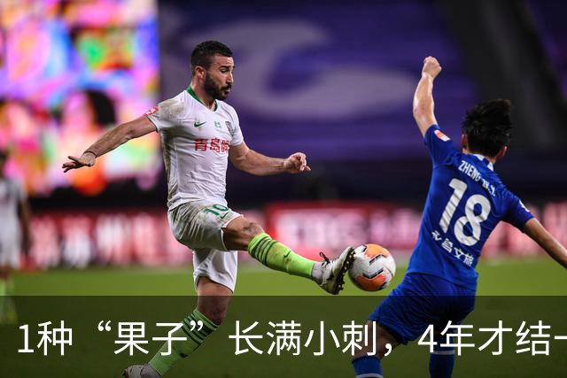 1种“果子”长满小刺，4年才结一次果，营养丰富，30元一斤