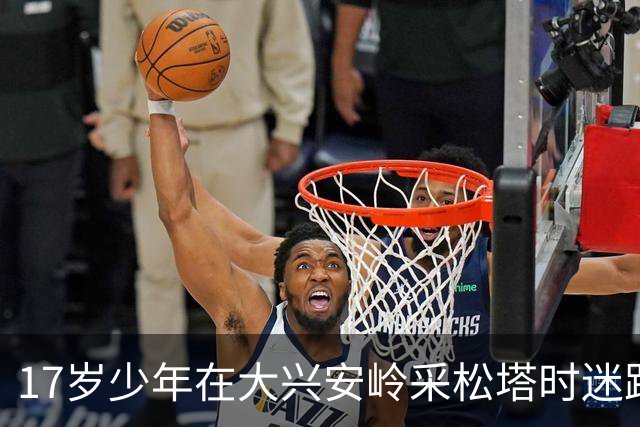 17岁少年在大兴安岭采松塔时迷路，无食物支撑独自在密林求生8天8夜，体重暴降20斤；搜救队伍与其行进路线出现偏差，始终没能相遇