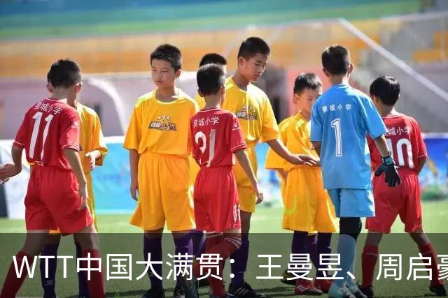 WTT中国大满贯：王曼昱、周启豪进四强-国际在线